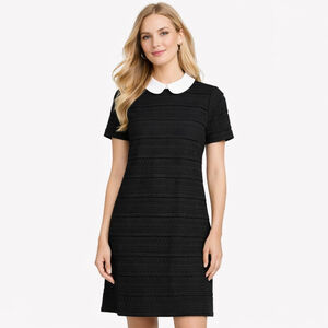 Women's CeCe Black & White Peter Pan Collar Mini A-line Dress S